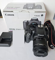 Canon 250D+Canon EF-S 18-55 IS STM