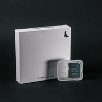 SD card Angelbird 256GB V60
