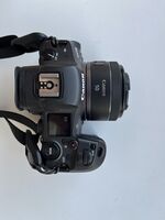 Canon R5 + RF 50mm 1.8