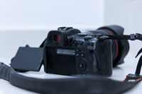 Canon EOS R6 + Canon RF 24-105mm f/4