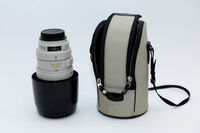 Canon EF 100-400mm f/4.5-5.6L IS USM