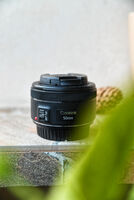 Canon EF 50mm f/1.8 STM
