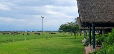 Sweetwaters Serena Camp