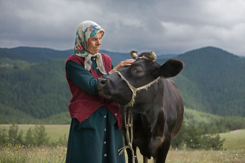 благотворителна изложба