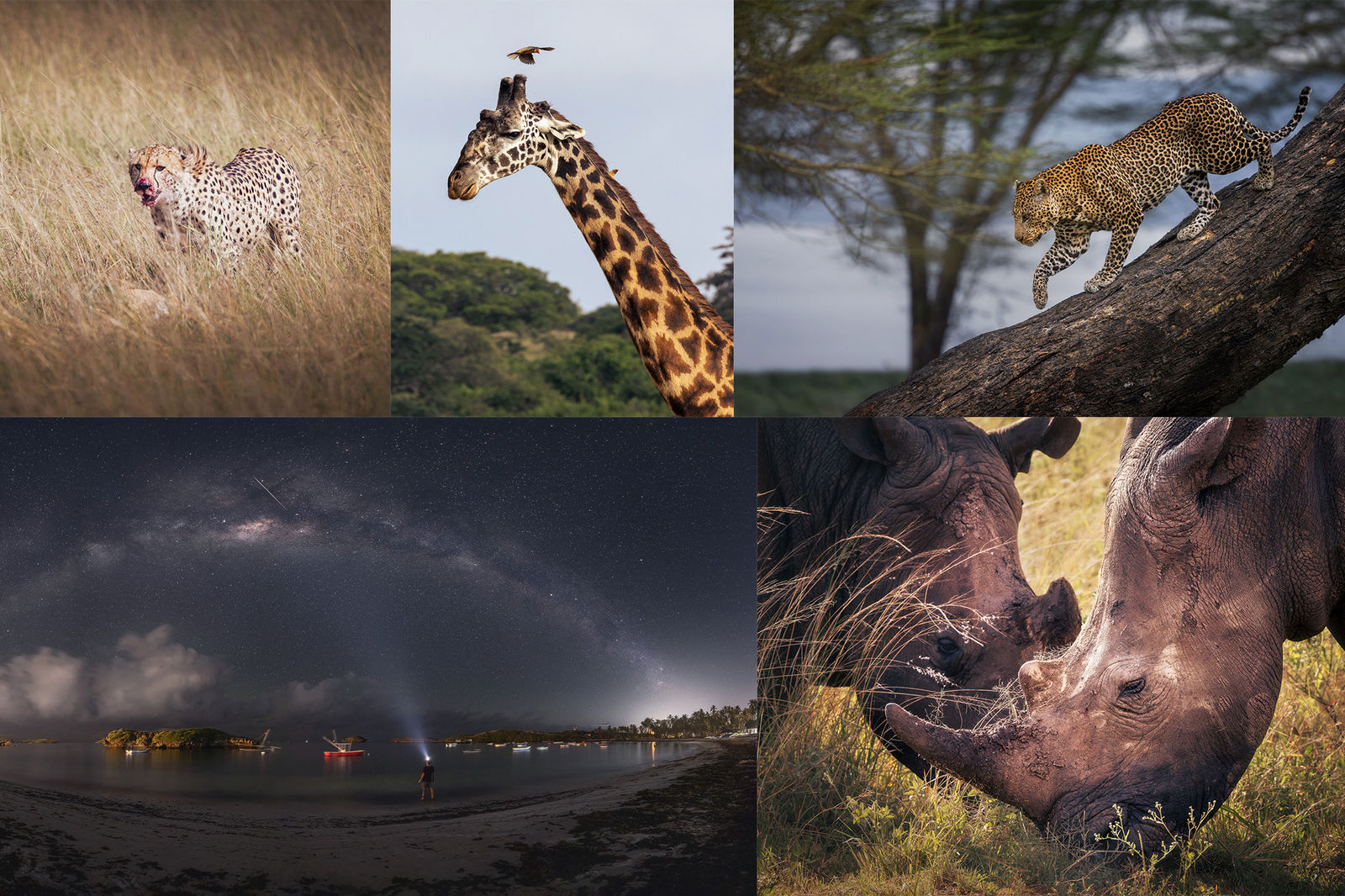 Кения - сафари и приключения с Живодар в Клуба на пътешественика
