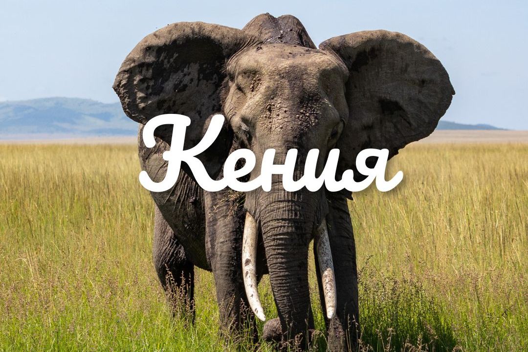 Фототур Кения - Samburu, Ol'Pejeta, остров Lamu на Индийския океан