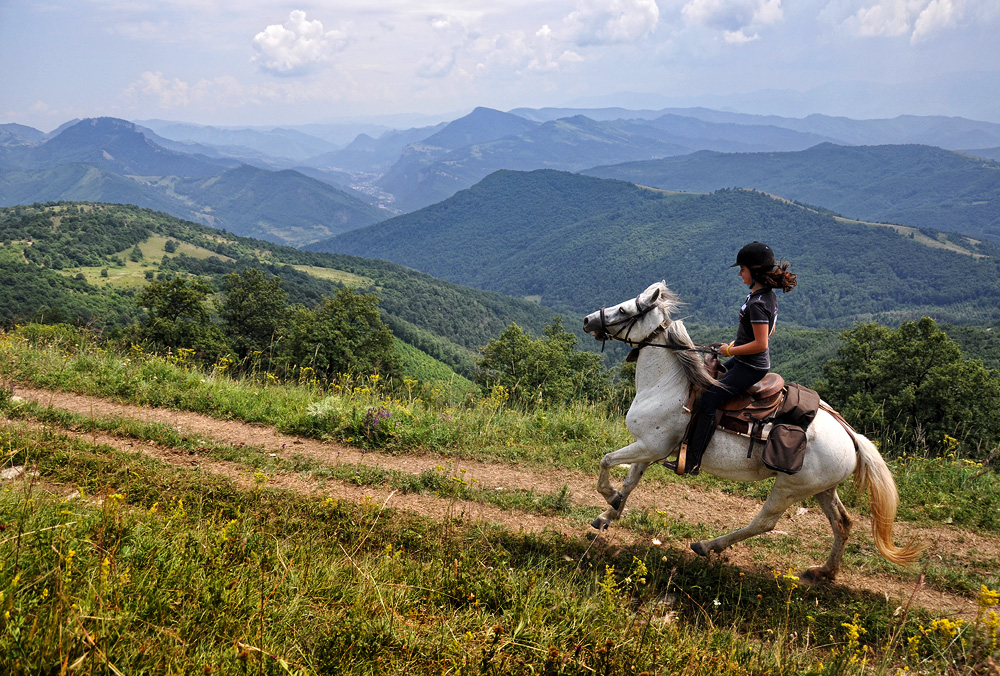Ride the chariot. Путешествие верхом. Конные прогулки Каракол. Алтайцы путешествуют на конях. Лошади на винограднике.