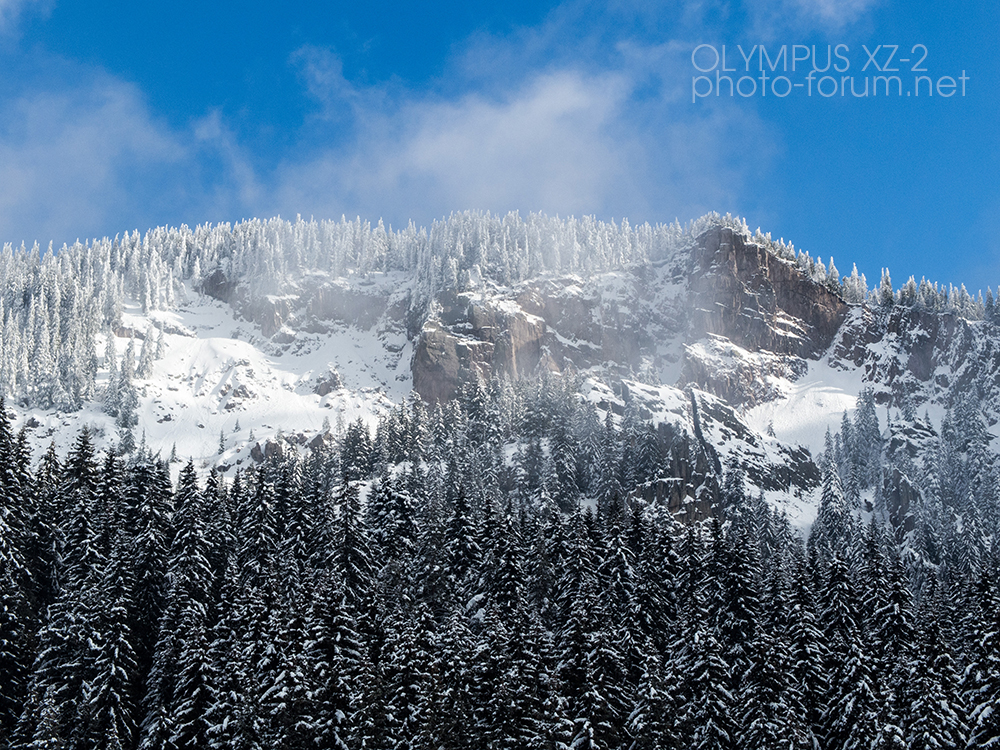 olumpusXZ1 olumpusXZ1