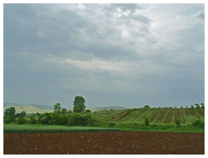 Peizaj_1 | Author ivo ivanov - i_v | PHOTO FORUM