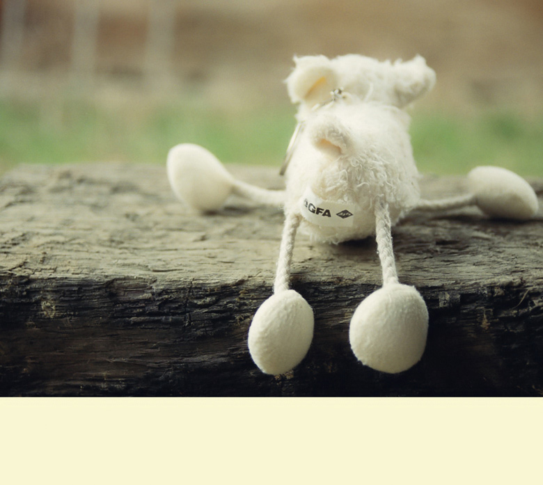 д.....то на PSS | Author Tanq Atanasova - tan4o | PHOTO FORUM