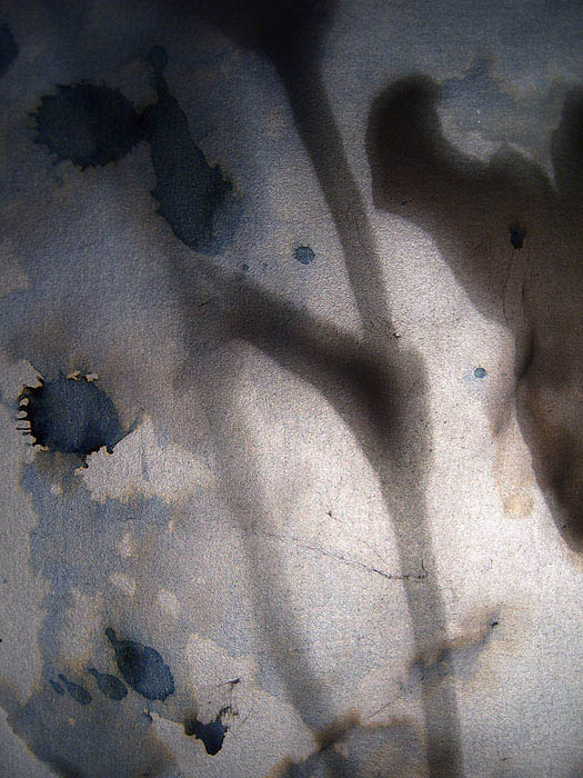 Thursday | Author godsgoldensperm  - z_____ | PHOTO FORUM