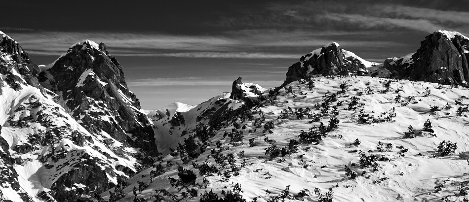 Малката Кукла | Author Yanko Pahnev - Yanko-Panko | PHOTO FORUM