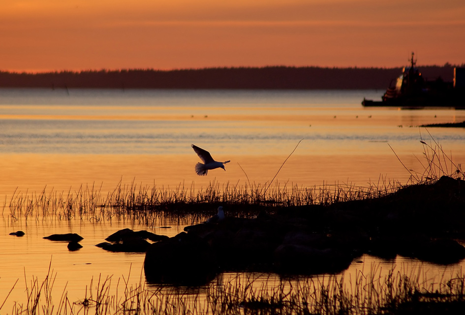 Evening at the harbour | Author Maria Ilcheva - astera69 | PHOTO FORUM