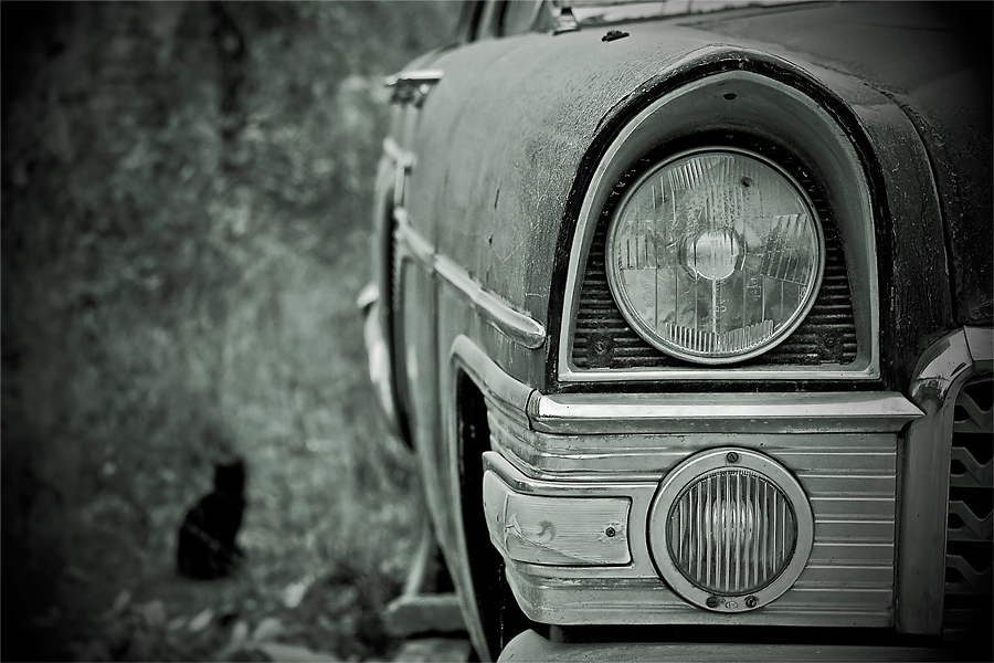 ~ Inhabitable ~ | Автор Yanko Pahnev - Yanko-Panko | ФОТО ФОРУМ