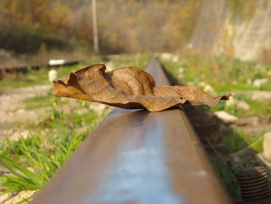 Photo in Debut | Author ivan  - sit | PHOTO FORUM