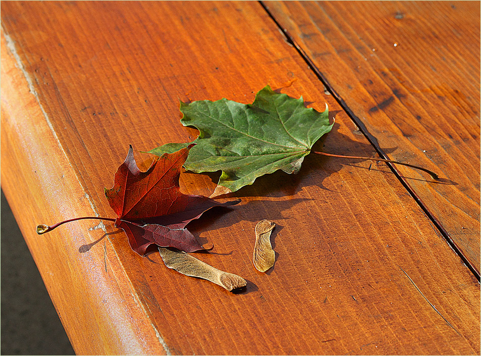 Репортаж от края на октомври | Автор валентина йотова - yotovava | ФОТО ФОРУМ