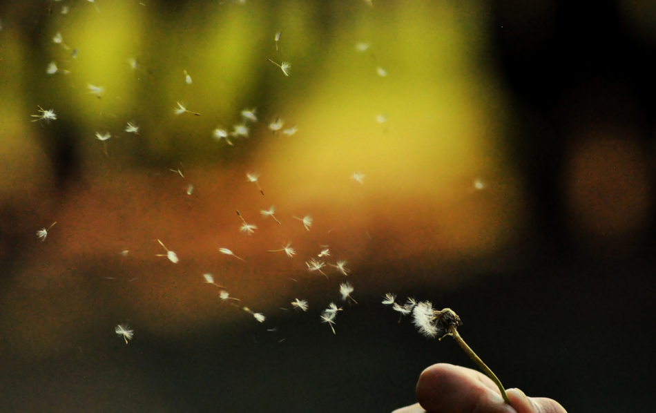 ... | Author Mariyan Penchev - Myr4o | PHOTO FORUM