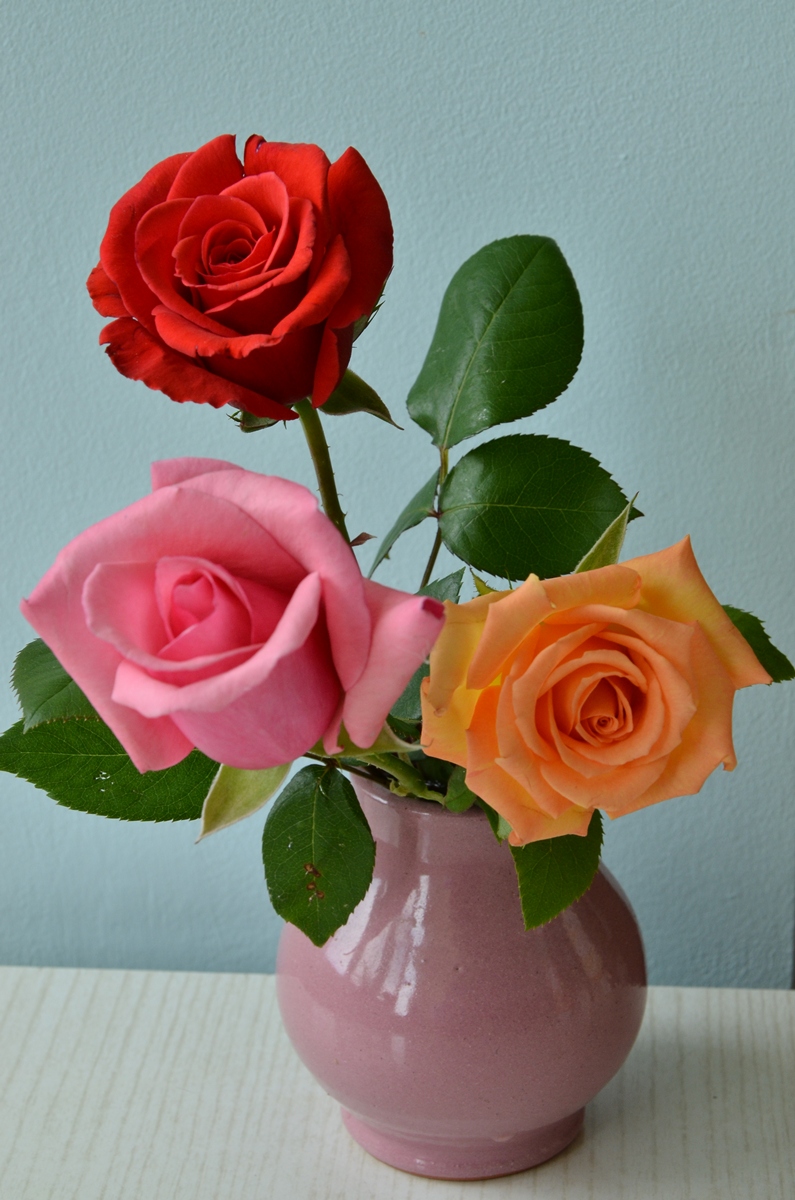 Три розы разного цвета фото