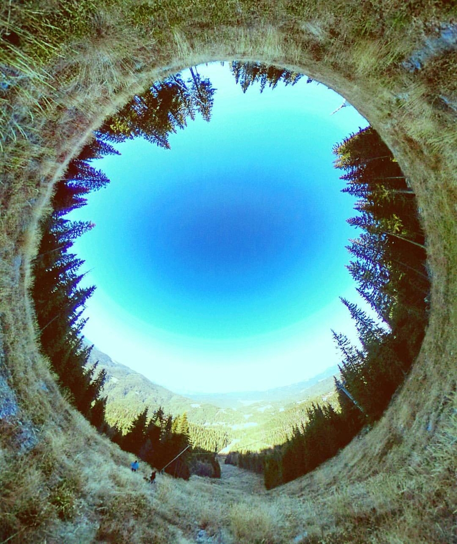 В гората II от Борил Гуринов - boril