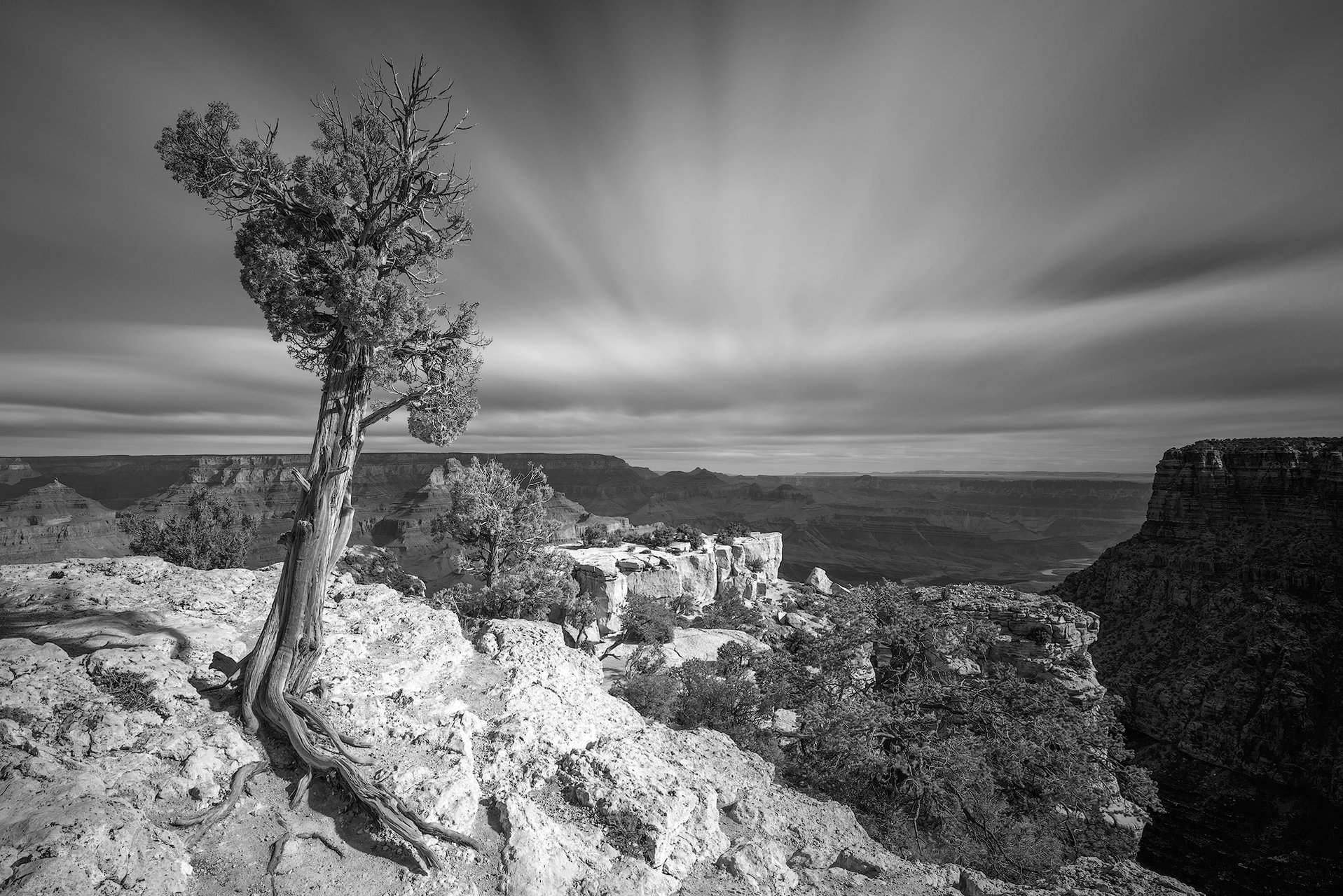 Moran Point - Grand Canyon от Remo Daut - wallburn