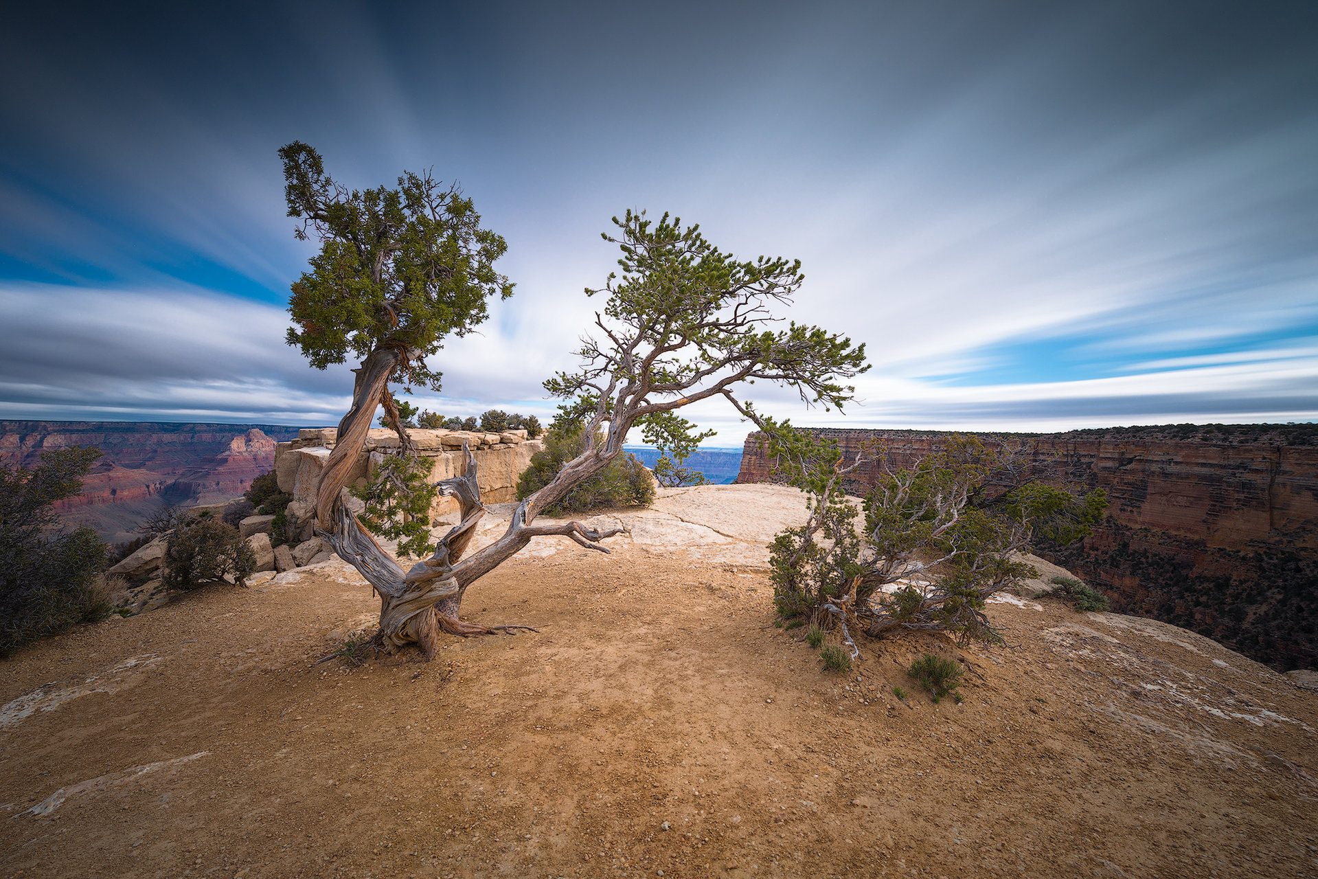 Moran Point - Grand Canyon, AZ от Remo Daut - wallburn