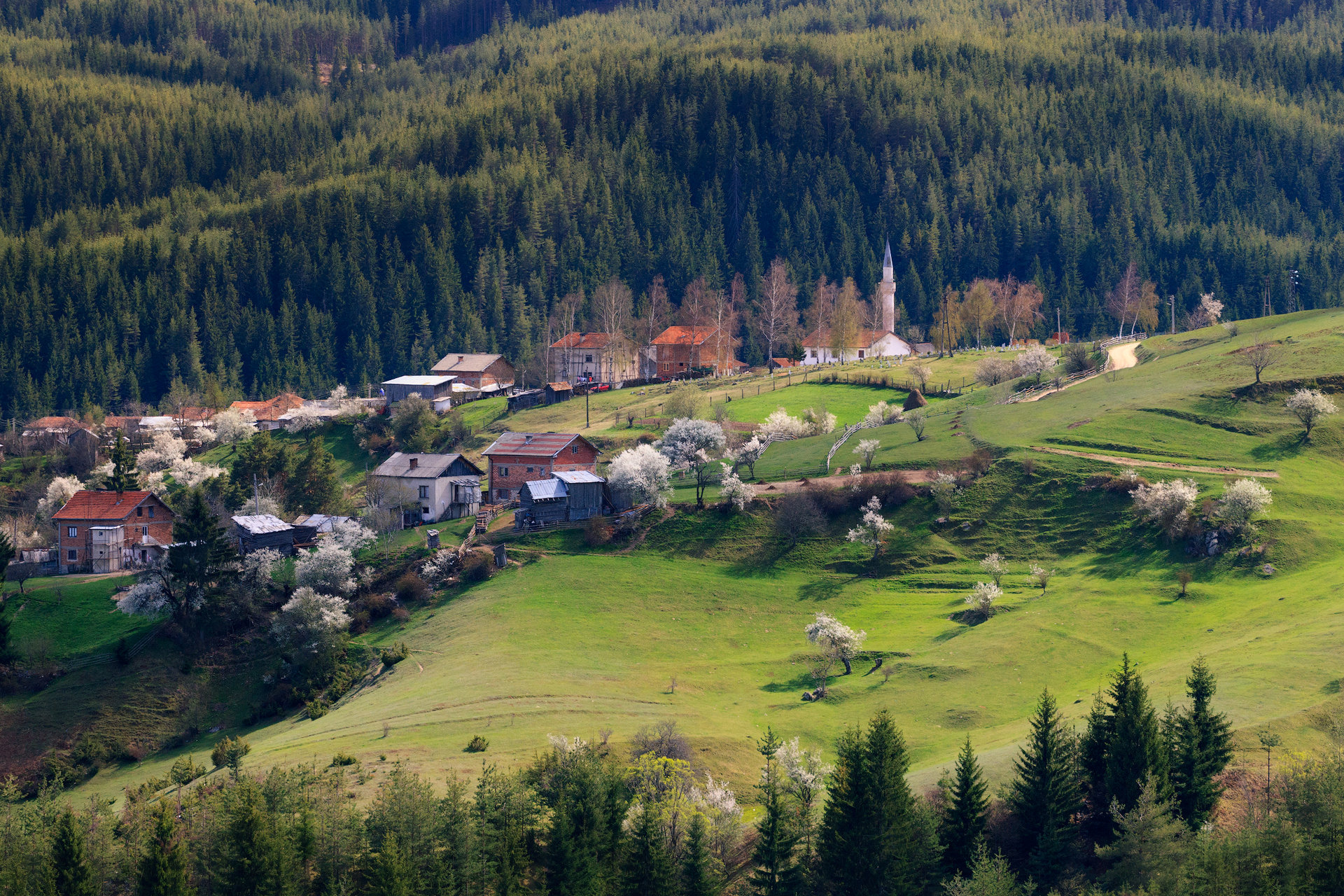 Пролет в Родопите от Tyuncher Eminov - tyunkata