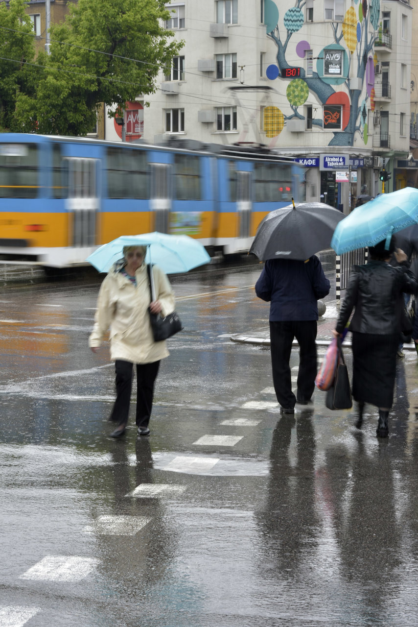 on the rain от Ivelina Ivanova - ivsebastian