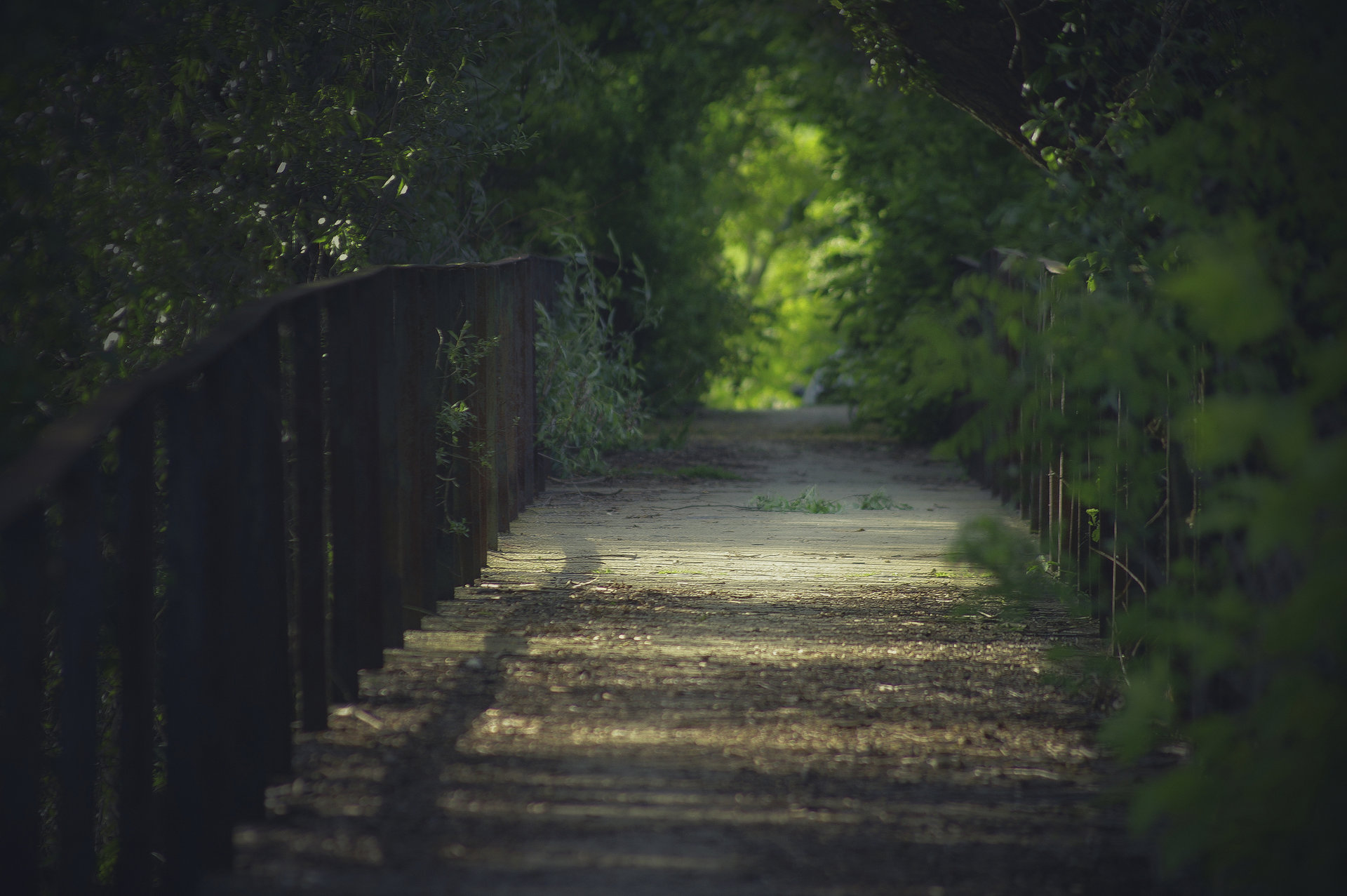 Away from madness ... от  - ROCKONOFF