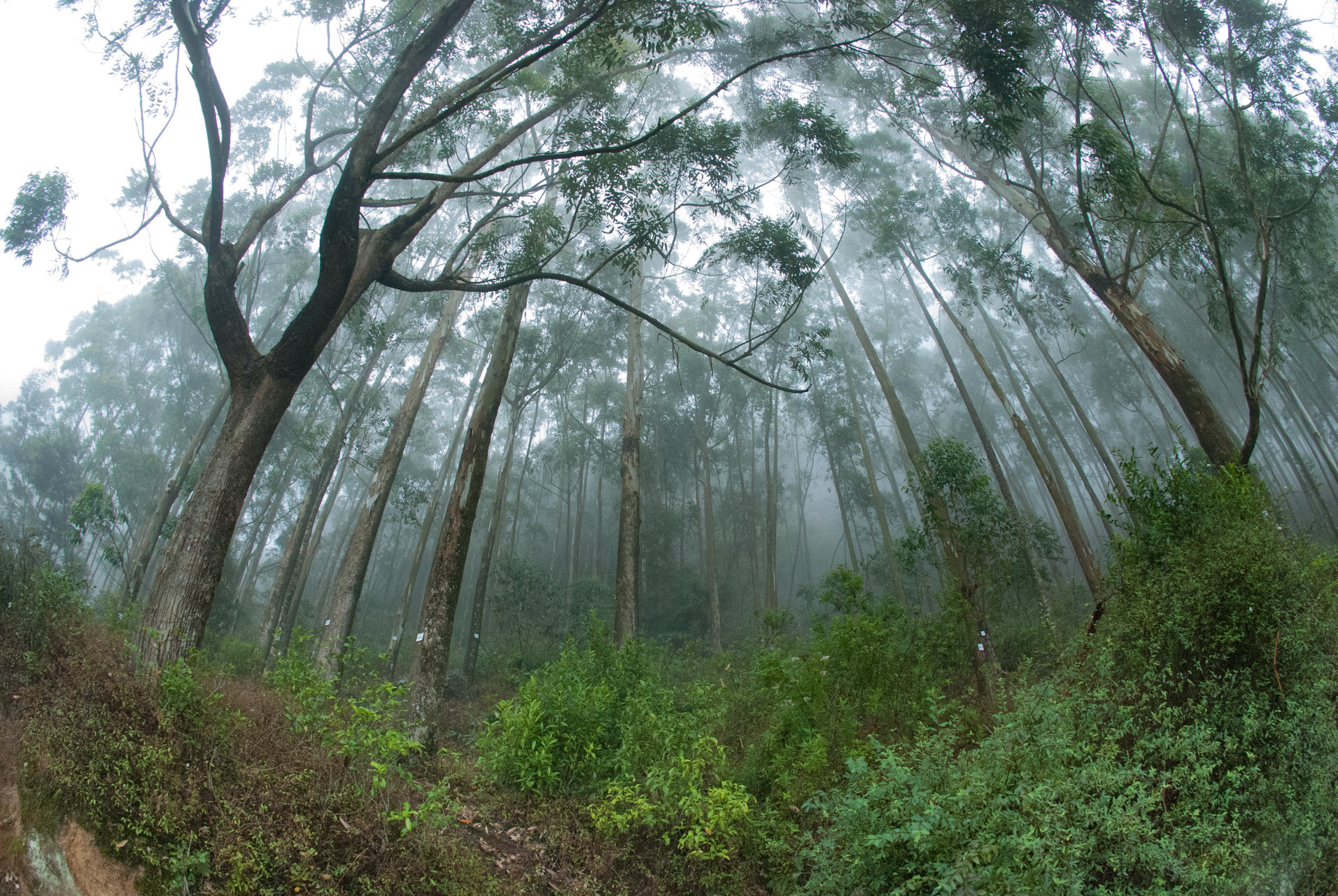  от Viesturs - V-man