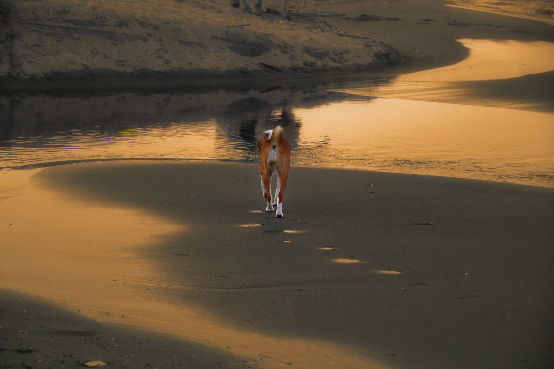 По светещите следички на Леда от Александрина Йорданова - Anix1.bg