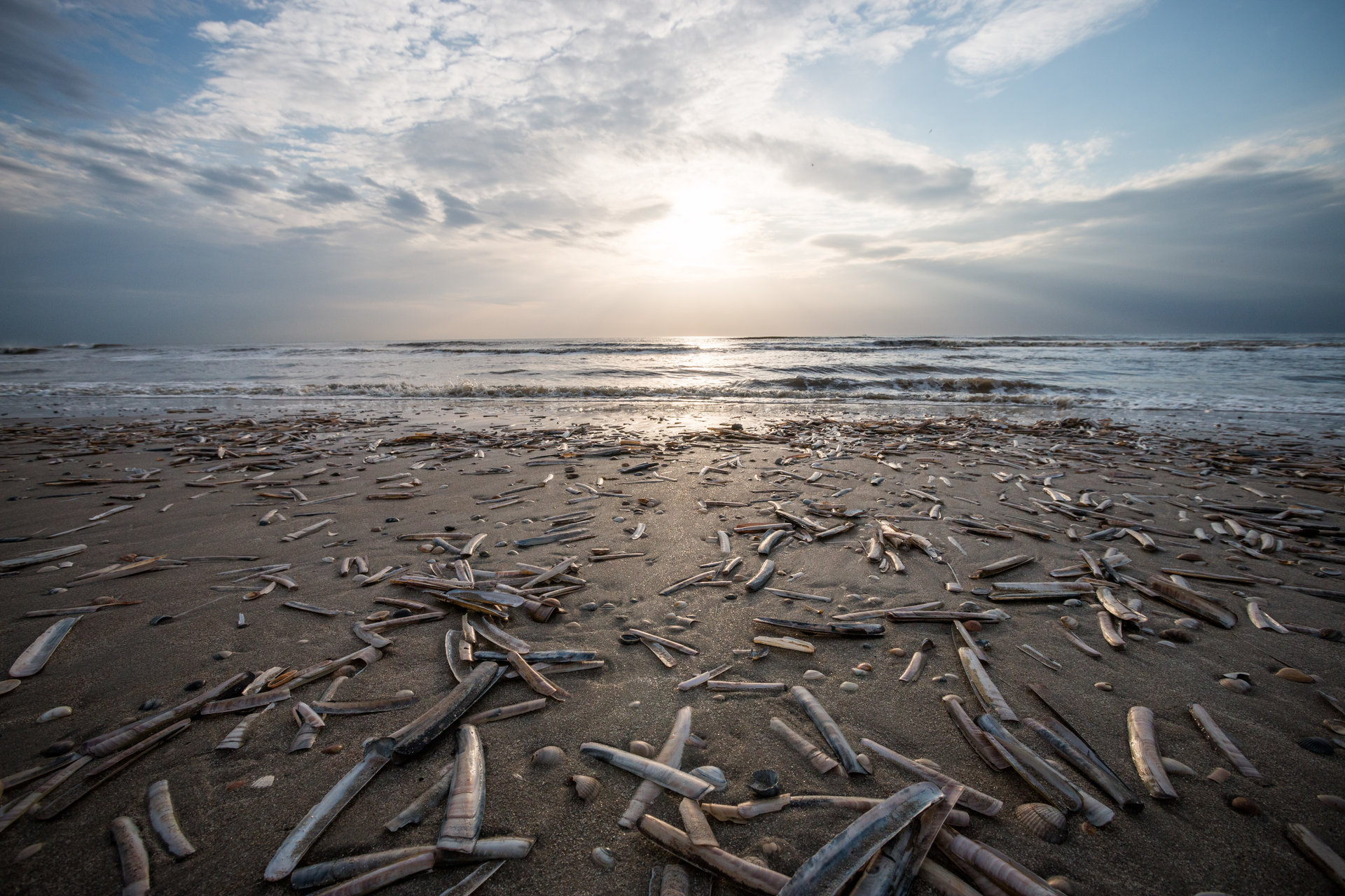 Северно небе от Димитър Илиев - d_iliev