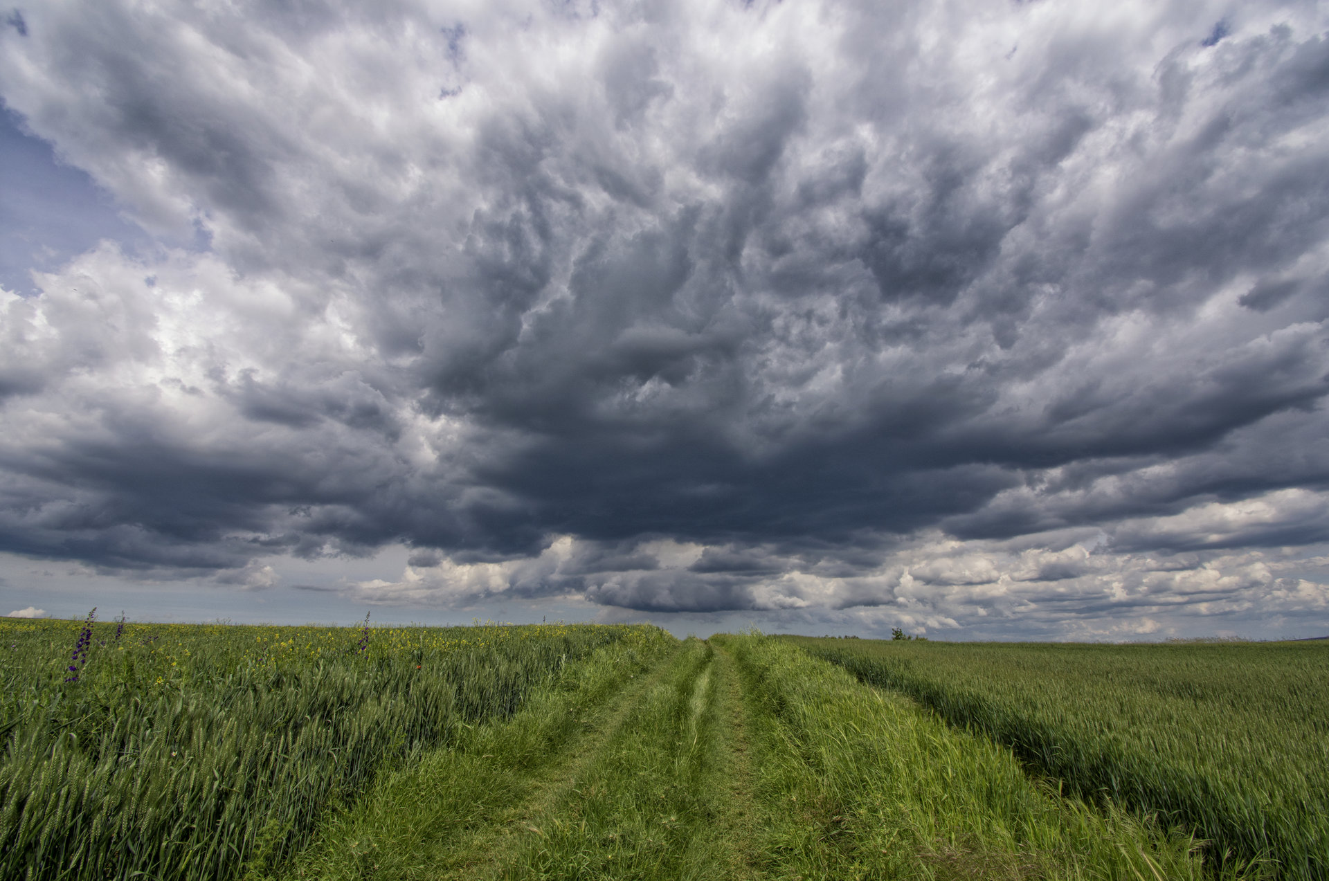 Буреносни облаци над полето. от Milen Hristov - milenskiat