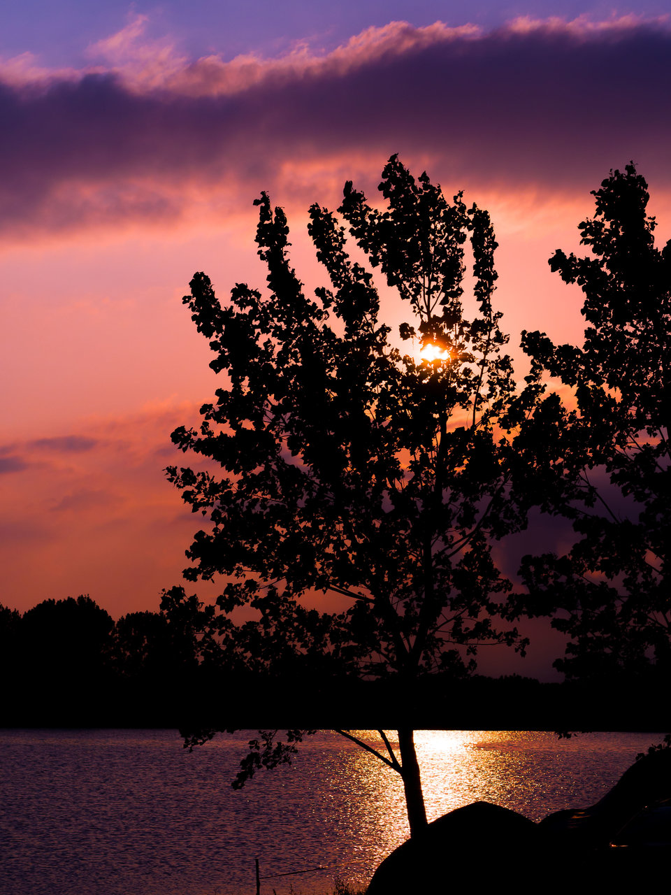 DeepPurple от  - HoneyBadger