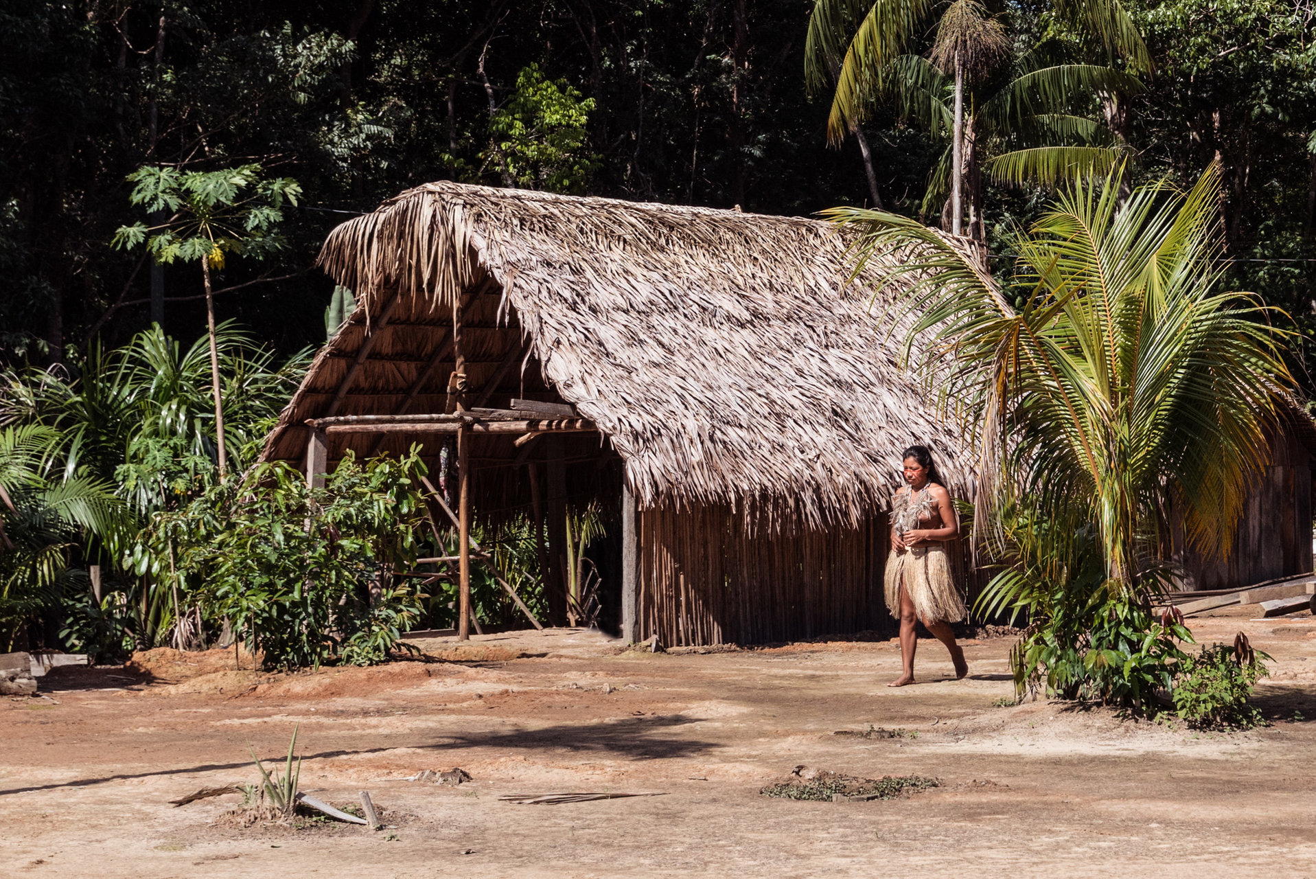Амазония от Milen Gyokov - MilenG