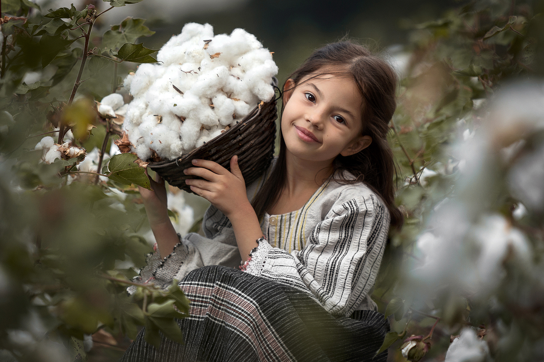 Cotton fields... от Krasimira Taneva - krasilota