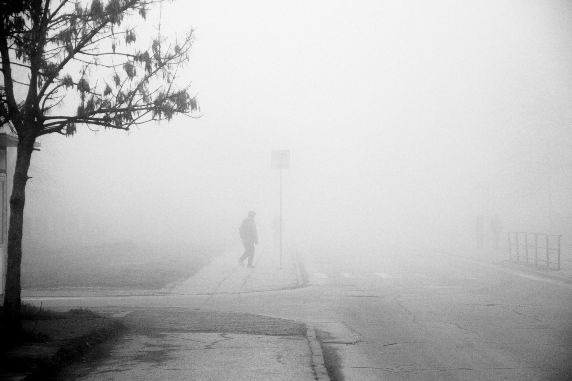 Мъгливо от Stanka  Petrova - Бяла_гарга