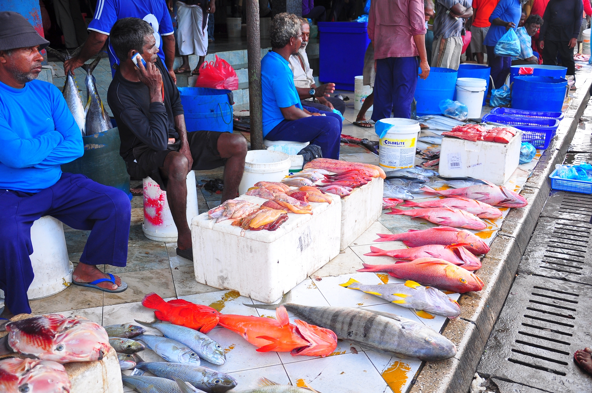 Fish market от Petar Velikov - AmaSteng