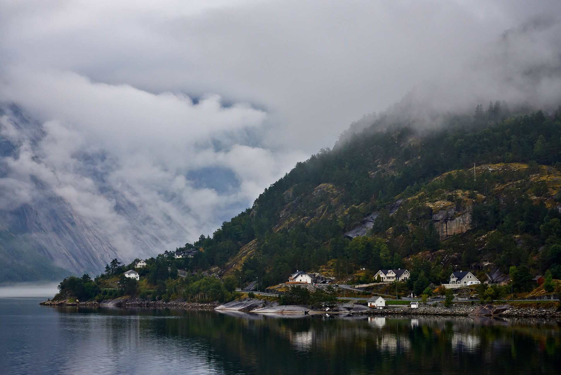 Into the morning fog от Petar Velikov - AmaSteng