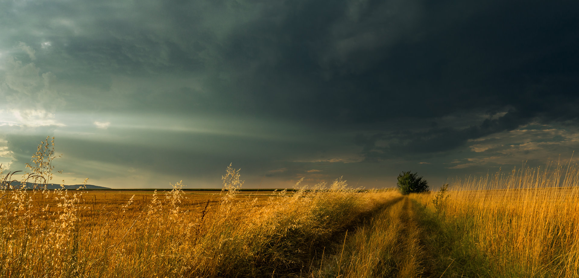 Приближаваща буря в полето | Approaching storm in the field от Milen Mladenov - resco