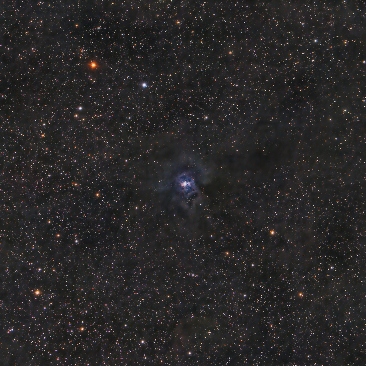 NGC 7023 - Мъглявината Ирис от Ivan Raichev - sektor