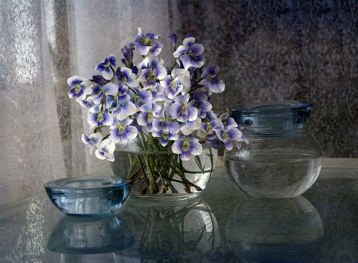 Пролетен букет | Author Penka Berberova - polana | PHOTO FORUM