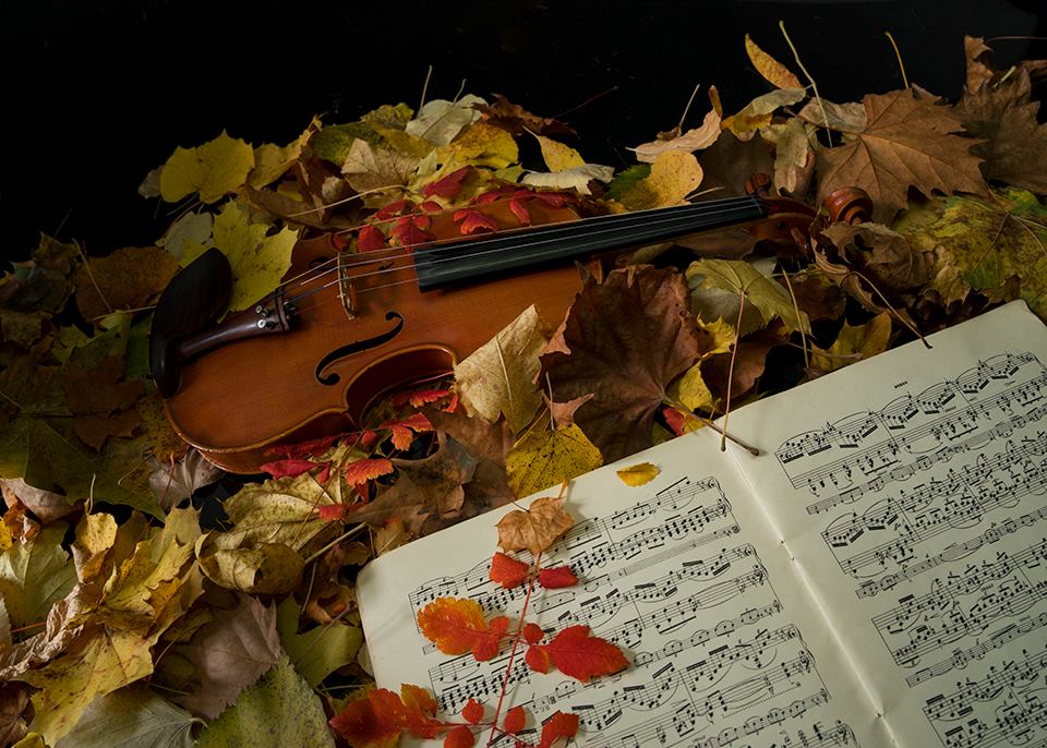 Осенняя мелодия любви содержание чем закончится. Мелодии осени. Осенняя мелодия. Рояль на осенний праздник. Рояль осенью.