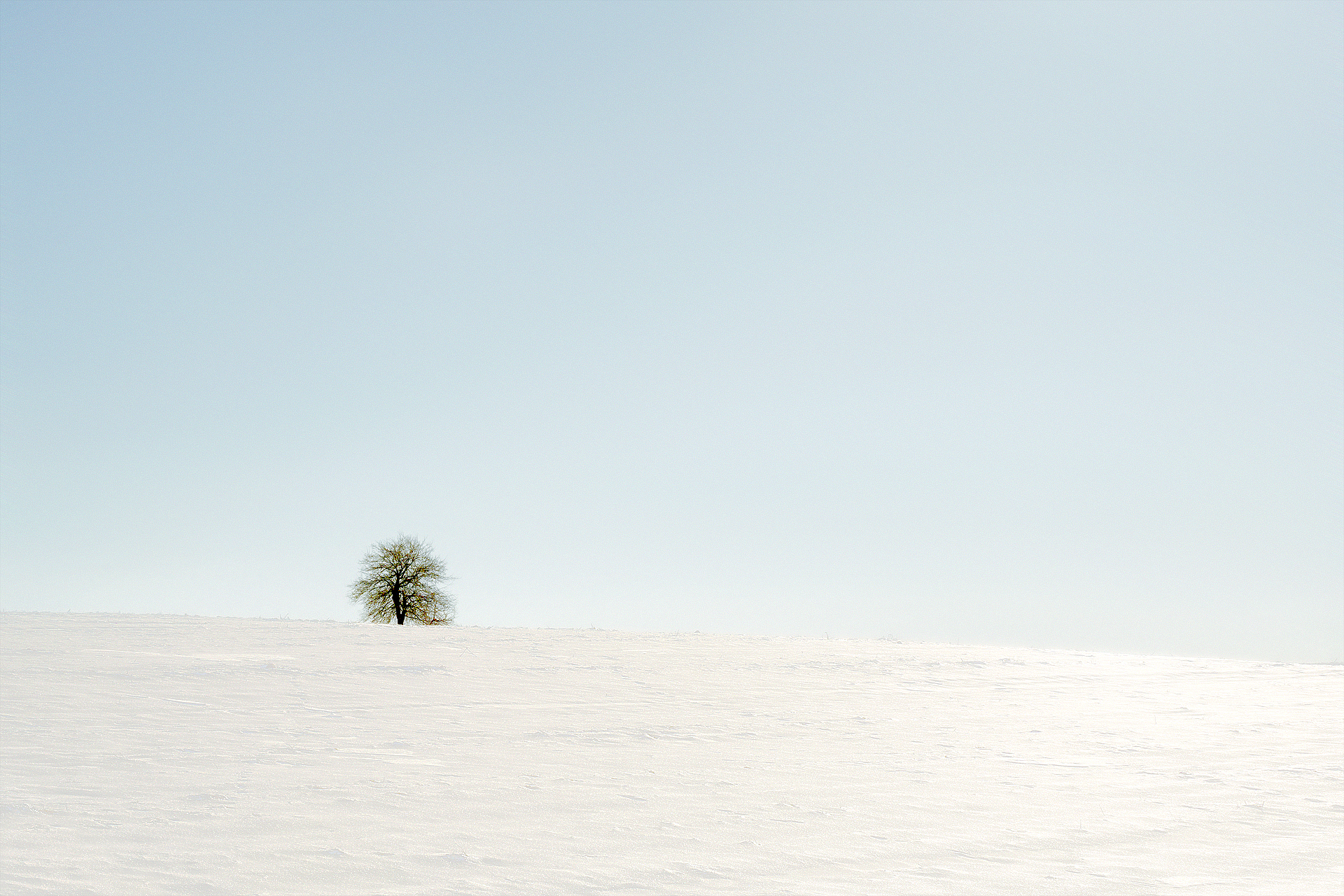 Зима... | Author Boyan Mladenov - Photan | PHOTO FORUM