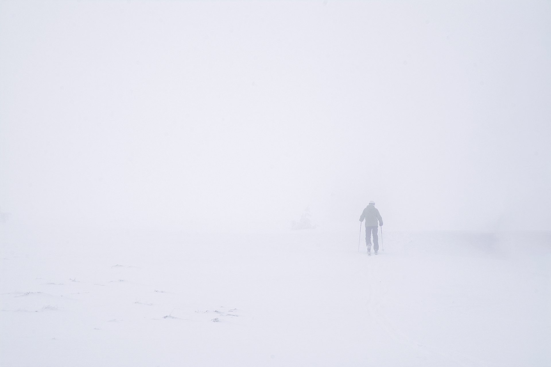 Скиорът | Author Dragomir Grancharov - hrbhr | PHOTO FORUM