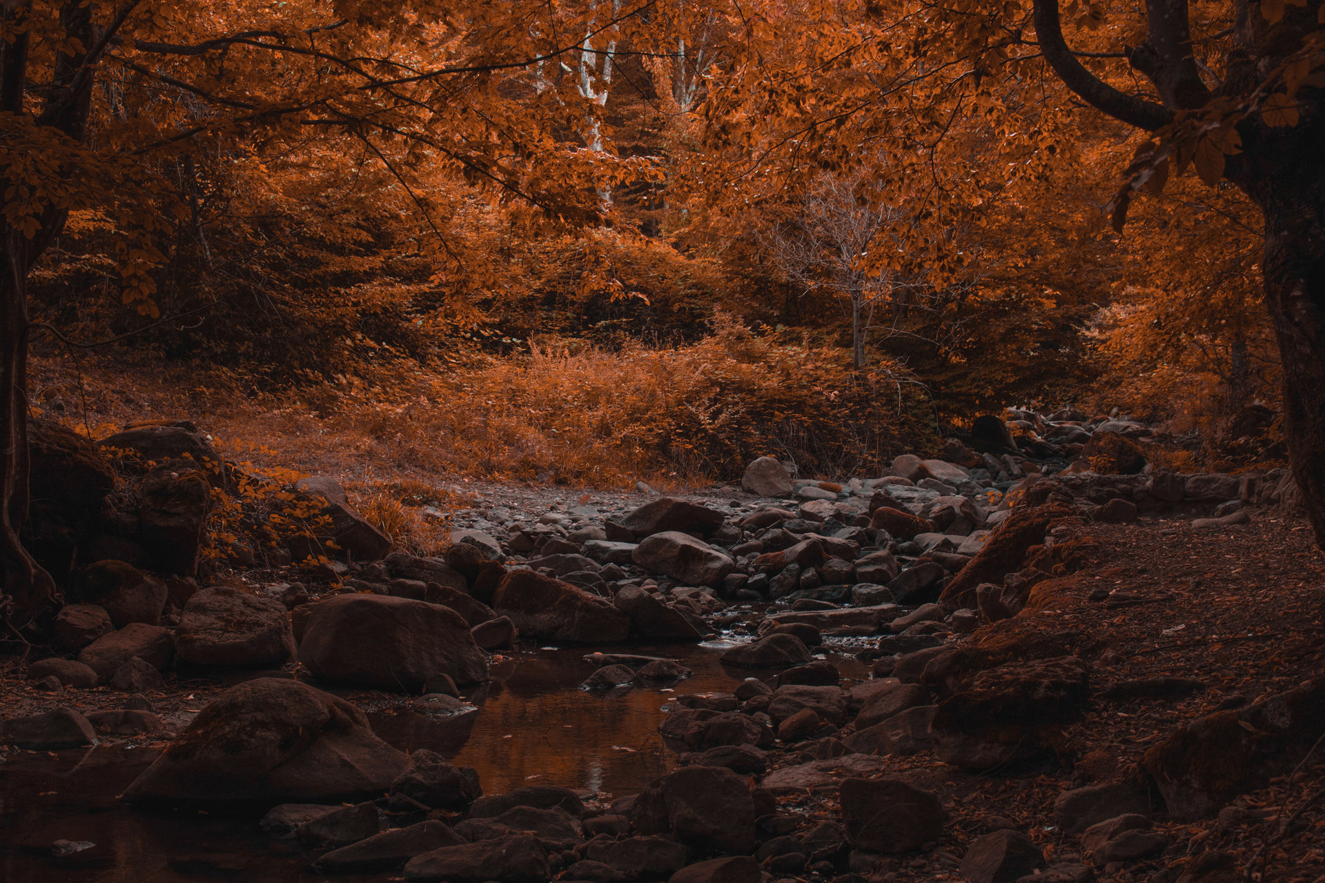 Есен в лесидренския балкан от Momchil Bankov - Momoto