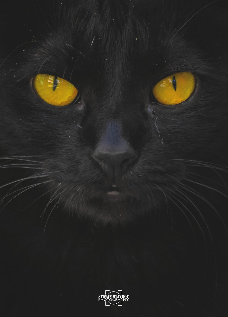 Скитник от Stoyan Staykov - rsstaykov