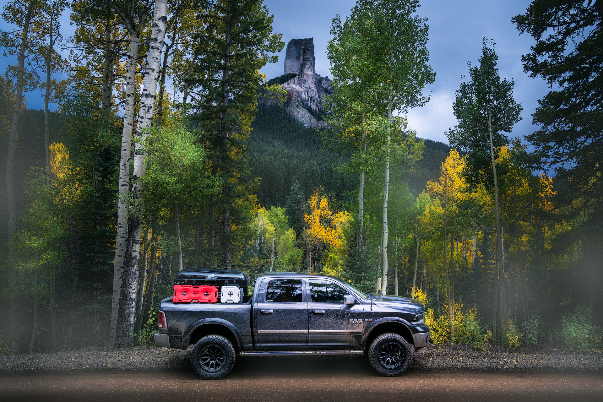 Звяра :))) | Автор Remo Daut - wallburn | ФОТО ФОРУМ