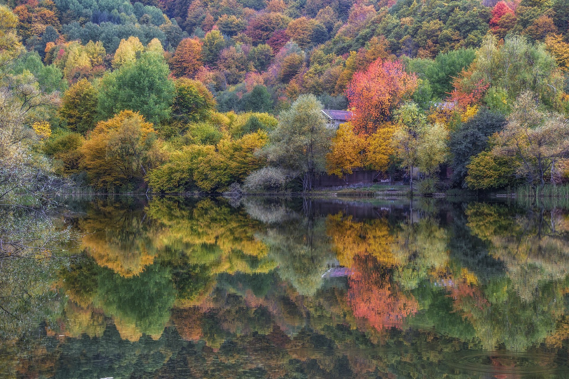 Есенно огледало | Author Anton Dangov - PhoTONy | PHOTO FORUM