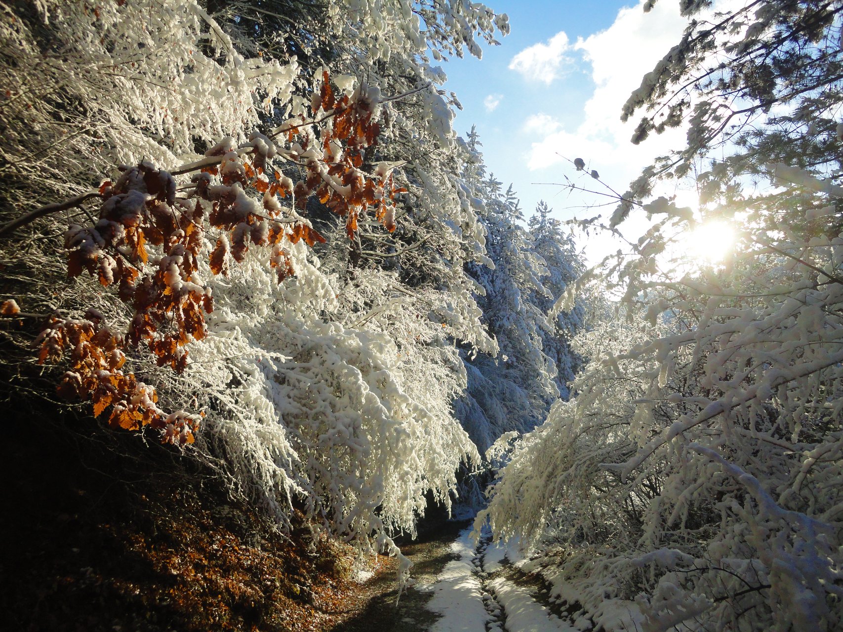 Зима в планината от Donko Najdenov - dorian_02