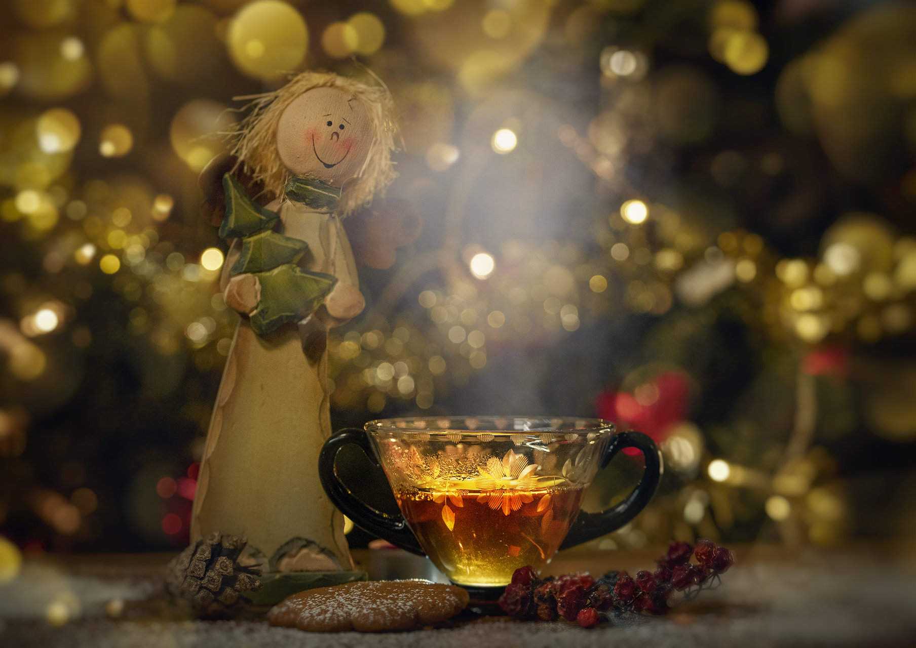 Christmas Time... | Author Nikki Georgieva  V E G A N I K - vega_nik | PHOTO FORUM
